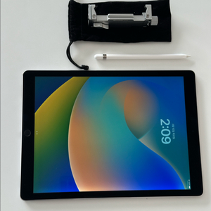 아이패드 프로 1세대 12.9인치 32gb + 애플펜슬