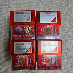 인체 해부학 교보제 펍니다 이미지