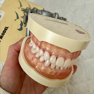 덴티폼 사용감 있움