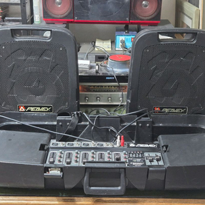 피베이 버스킹용 PA 음향 시스템, 에스코트2000세트