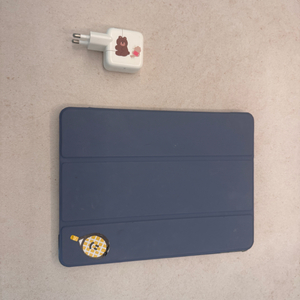 아이패드 프로 10.5 256gb 셀룰러