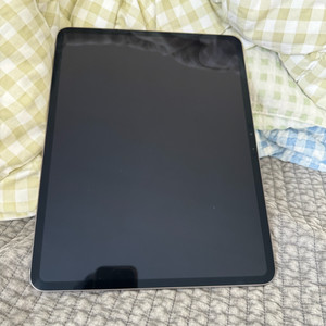 아이패드 프로 13 M4 256 와이파이 기기단품