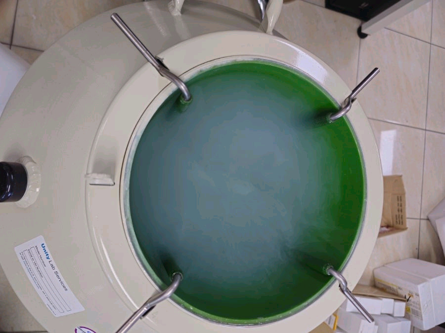 Thermo 세포주보관 액체 질소통 중고 locator jr plus내부 캔있음 71리터 이미지