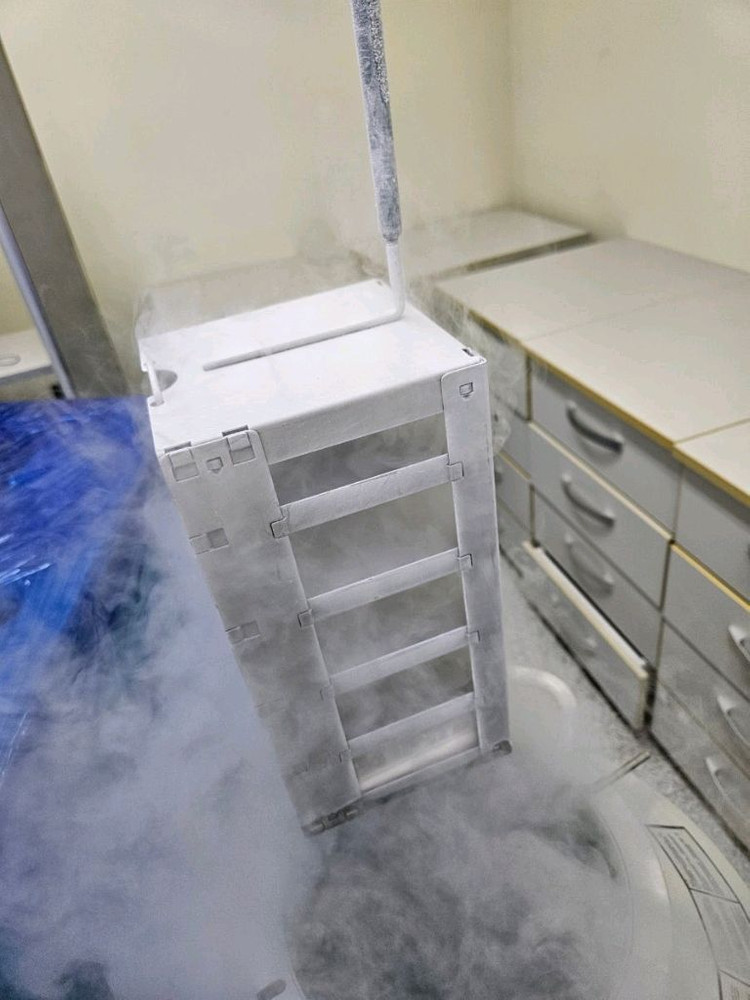 Thermo 세포주보관 액체 질소통 중고 locator jr plus내부 캔있음 71리터 이미지