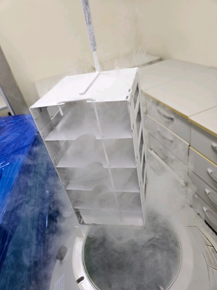 Thermo 세포주보관 액체 질소통 중고 locator jr plus내부 캔있음 71리터 이미지