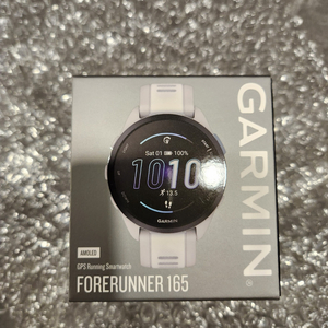 가민 포러너 165