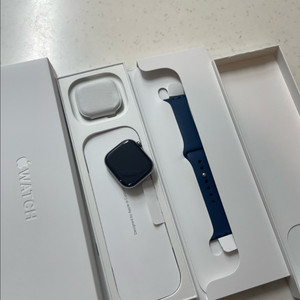 애플워치10티타늄 42mm 내추럴 SSS급