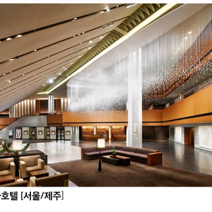 제네시스g80 gv80 프리빌리지 삽니다 이미지