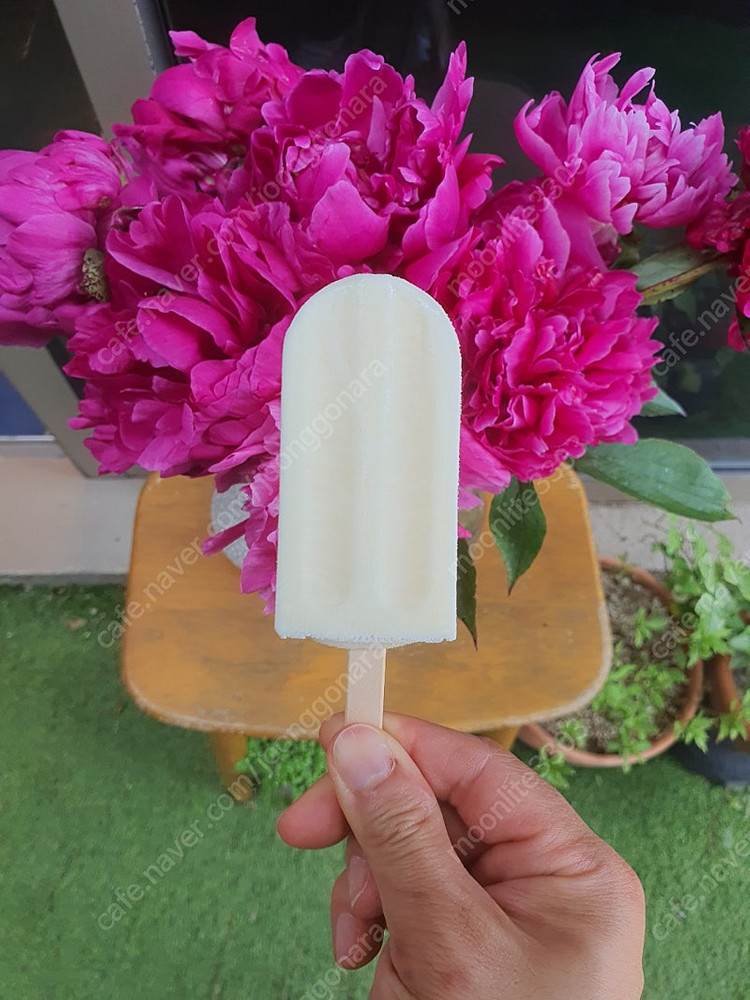 스틱형 아이스바 생산 기계--3