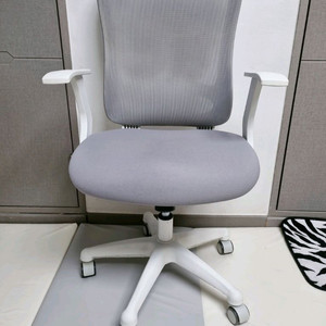사무용 / 가정용 매쉬 의자