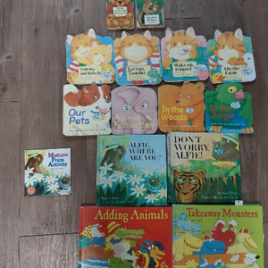 매튜 프라이스 액티비티 영어책