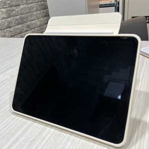 아이패드프로 11인치 m5 256g wifi + 애플펜슬