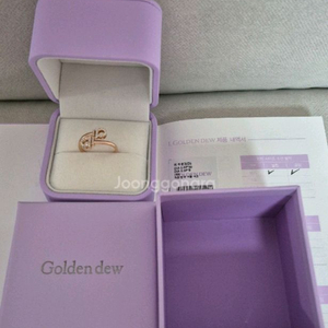 골든듀 히읗 반지