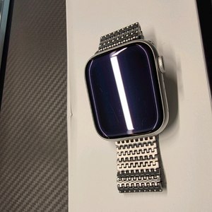 애플워치9 45mm 실버