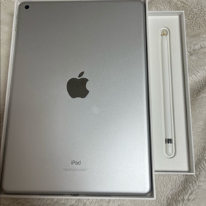 아이패드 256GB WiFi + 애플펜슬