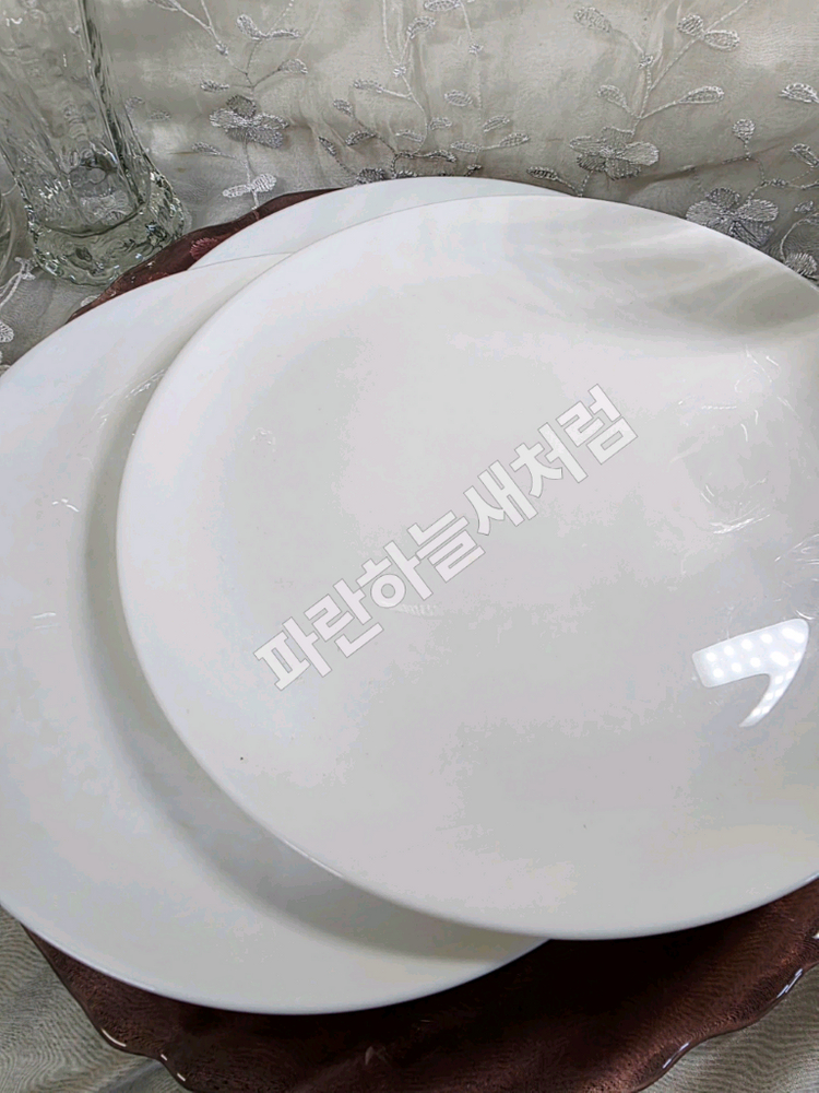 프랑접시25cm3p일괄--2