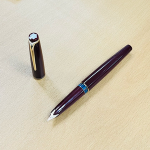 몽블랑 만년필 22 버건디색