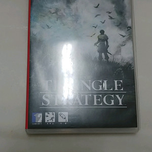 닌텐도 스위치 트라이앵글 스트래티지