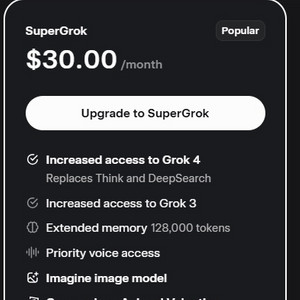 X ai super grok 슈퍼그룩 1개월