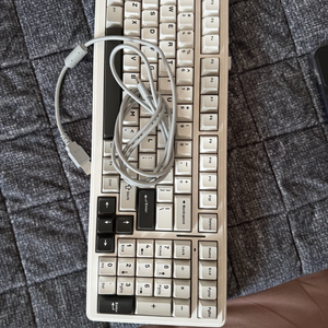 독거미 f99 황축