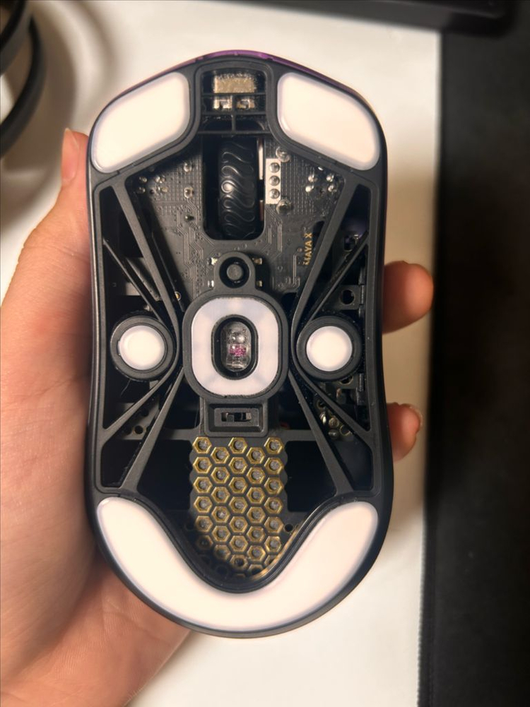 지슈스 구해요 이미지