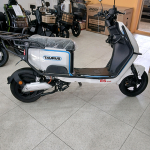 타우러스 es듀얼 화이