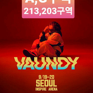바운디 vaundy 내한 콘서트 티켓최저가양도