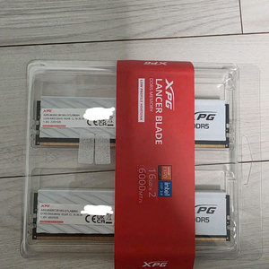 ADATA DDR5-6000 CL36 32GB 팝니다