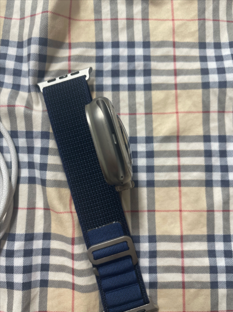 애플워치 울트라2 내추럴 49mm SS급--4