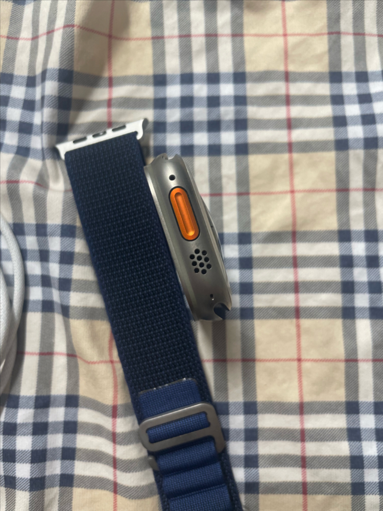 애플워치 울트라2 내추럴 49mm SS급--5