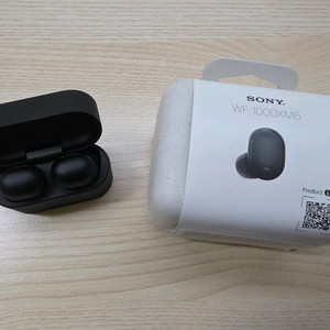 소니 wf1000xm6