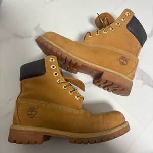 팀버랜드 6인치 프리미엄 워터프루프 7W(250-260)