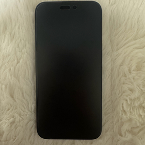 아이폰 15 Pro Max 블랙 256GB