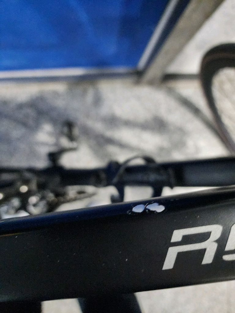 엘파마 로드너--9