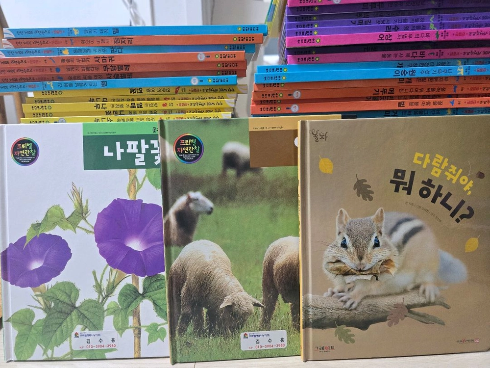 탄탄와이드 자연속으로 완결편 100권 이미지