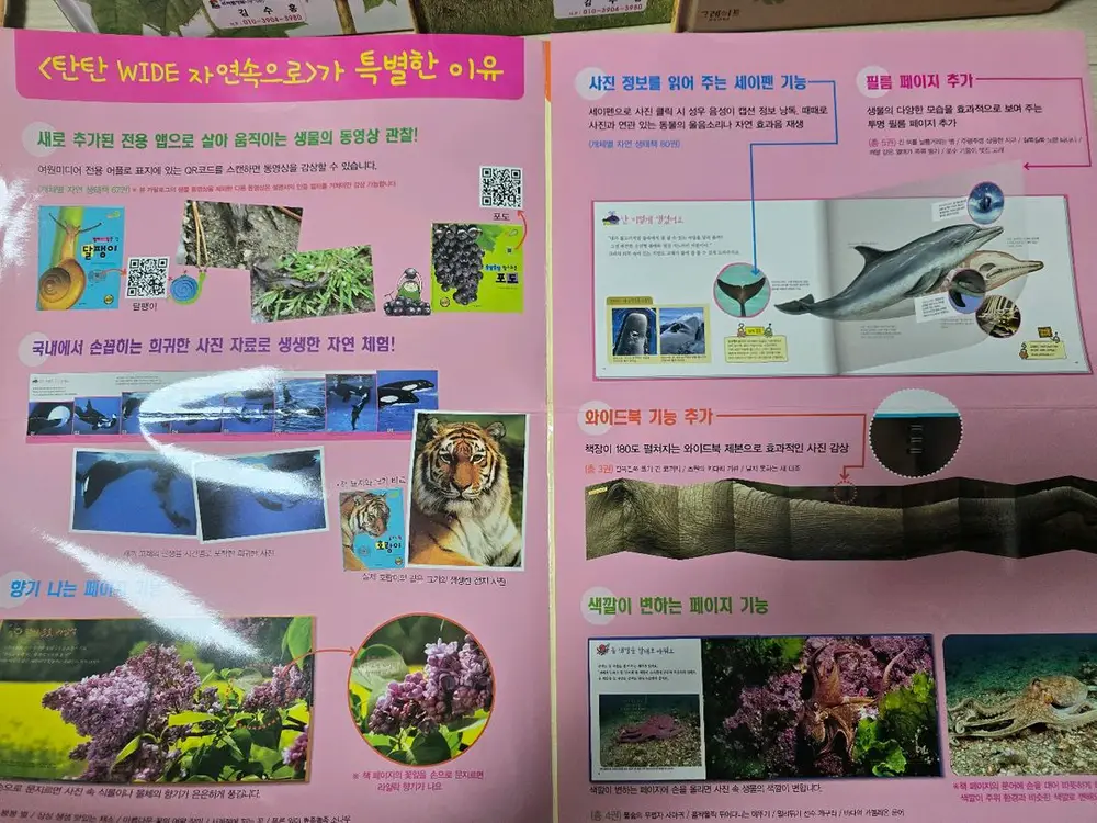 탄탄와이드 자연속으로 완결편 100권 이미지
