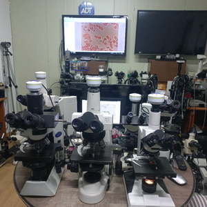 현미경 대여렌탈 판매