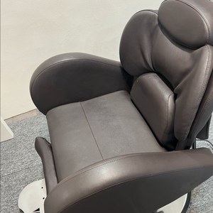 다용도 미용 전동의자 (180도 리클라이닝) 이미지