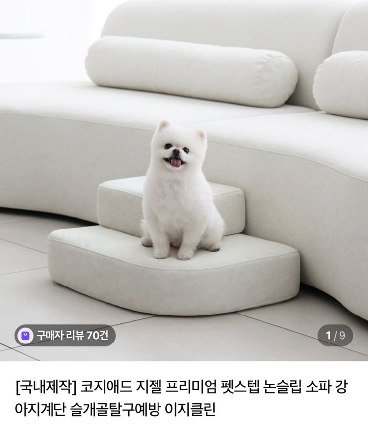 코지애드 강아지 펫스탭 이지클린 이미지