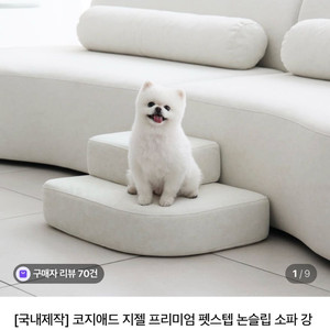 코지애드 강아지 펫스탭 이지클린 이미지