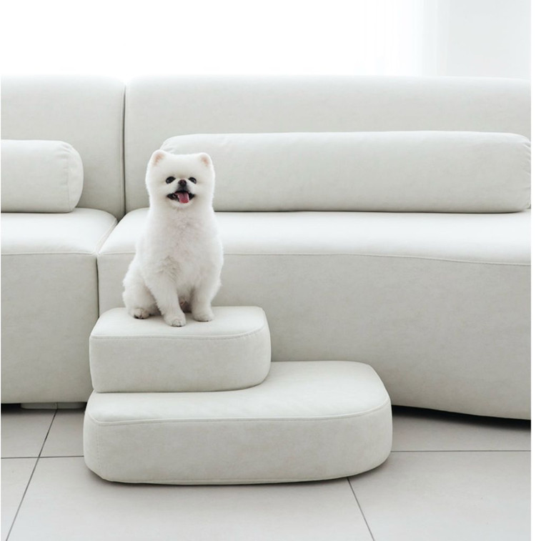 코지애드 강아지 펫스탭 이지클린 이미지