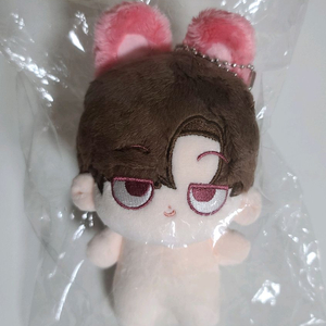 스트레이키즈 스키즈 skz changbin 창빈 돼끼 쿠키키즈 쿠키빈 straykids 인형 이미지