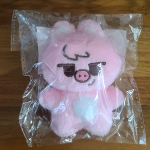 스트레이키즈 스키즈 skz 창빈 솔티빈 인형 비공굿 돼끼 changbin straykids 이미지