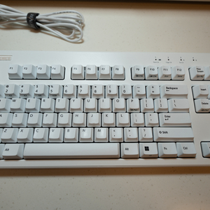 리얼포스 R3TL-BT (R3HD21) 화이트 영문 저소음 45g 균등