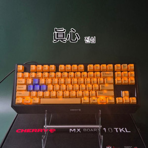 체리 MX BOARD 1.0 체리 갈축 게이밍 키보드