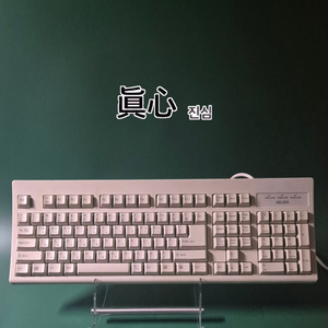 세진 전자 PS/2 올드 빈티지 키보드 (2000)