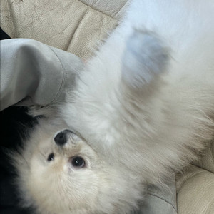 급하게 5만원정도만 구합니다 이자쳐서 드립니다