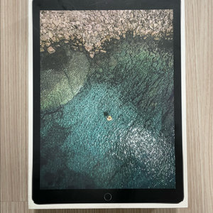 아이패드 프로 12.9 2세대 256GB