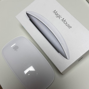 애플 매직마우스2