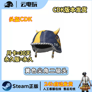 배그 스킨 지스카 2레벨 헬멧 이미지